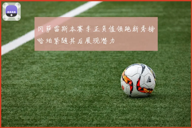 冈萨雷斯本赛季正负值领跑新秀榜哈珀紧随其后展现潜力