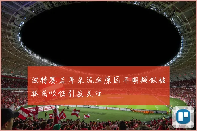 波特赛后耳朵流血原因不明疑似被抓或咬伤引发关注
